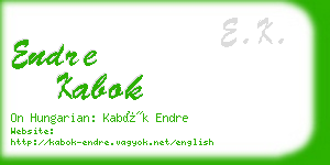 endre kabok business card